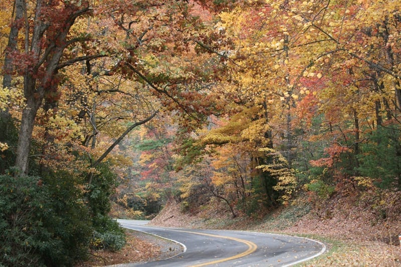 Autumn Roads at base of Blue Ridge Parkway by Anna B. Pruitt (Location: Patrick County) Honorable Mention