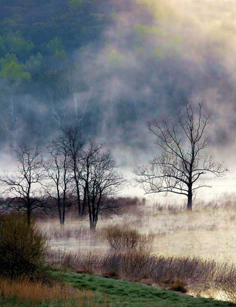 Farm Pond Sunrise by Gary Anthes (Location: Rappahannock County) Open Space/Farmland Winner