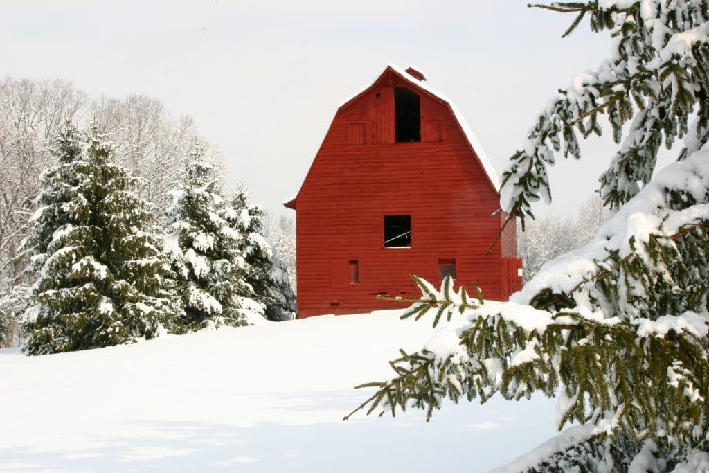 Farms & Open Space Winner: Morning Snow by Terry Crider (Spotsylvania)