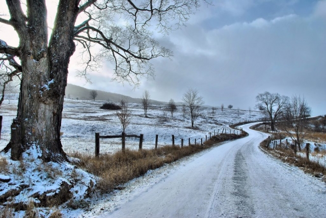 Highways & Byways Winner: Cold Winter Road by Terri Puffenbarger (Highland County)