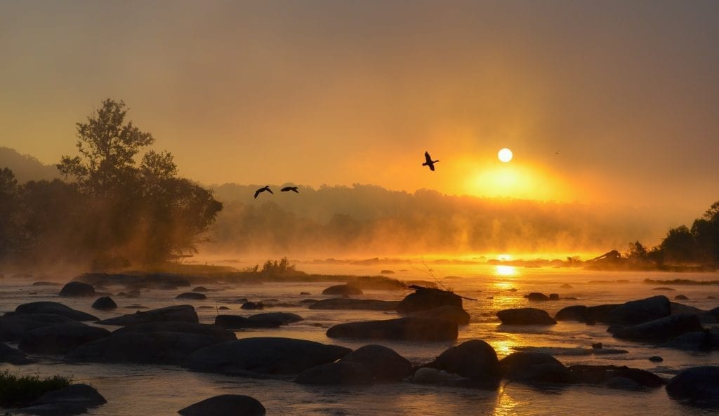 ducks flying over James River at sunrise